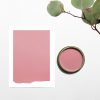 MADE-BY-PAINT-CHALK-CLAY-PAINT-SCANDI PINK