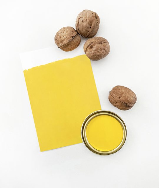 MADE-BY-PAINT-MINERAL-PAINT-LEMON-TREE