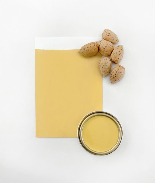 MADE-BY-PAINT-MINERAL-PAINT-HONEY-MUSTARD