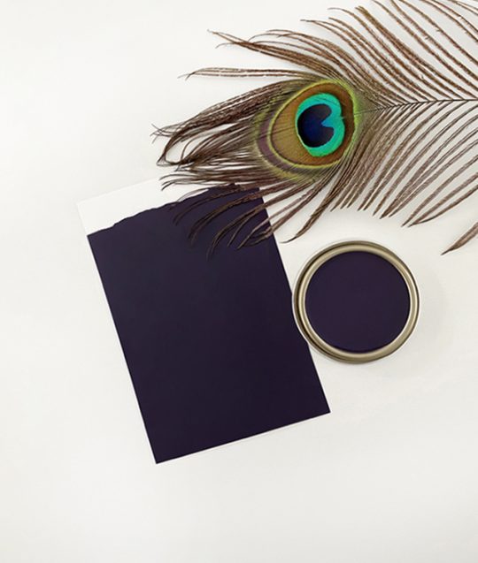 MADE-BY-PAINT-MINERAL-PAINT-PEACOCK